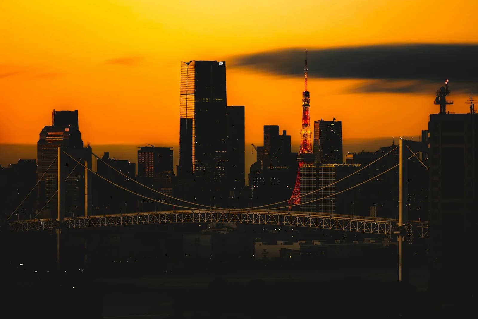 Selling a Japanese Company - A Foreign Owner's Complete Exit Guide for 2026